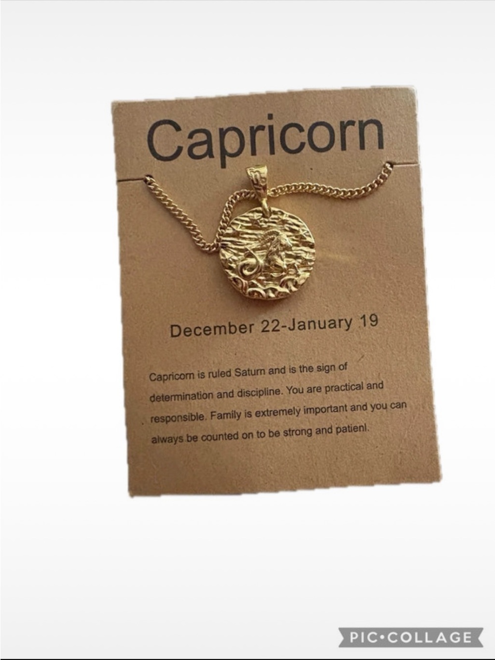 Capricorn Gold Zodiac Pendant Necklace